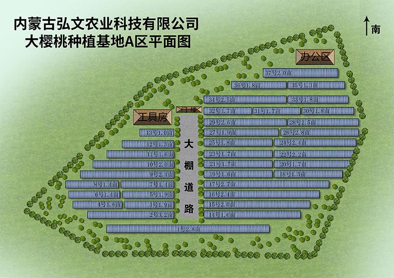 棚區平面圖